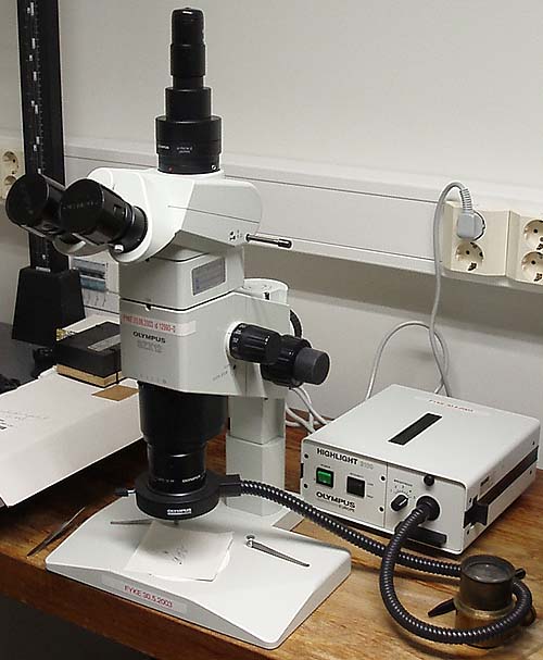 Olympus microscope