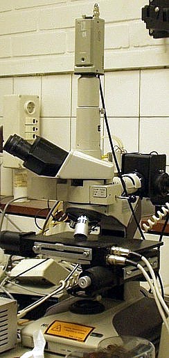 Bruker R 590
